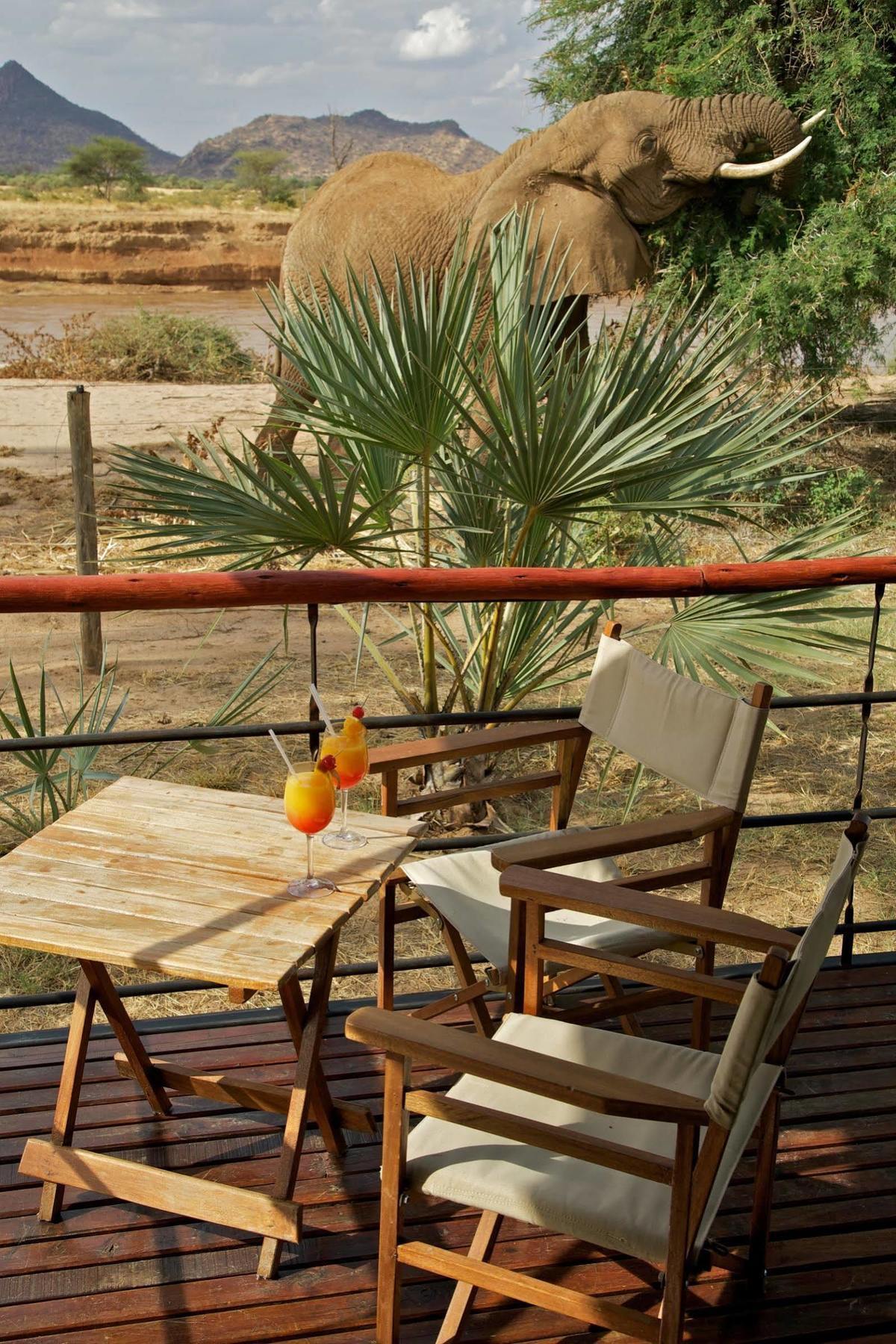 מלון Ashnil Samburu Camp מראה חיצוני תמונה